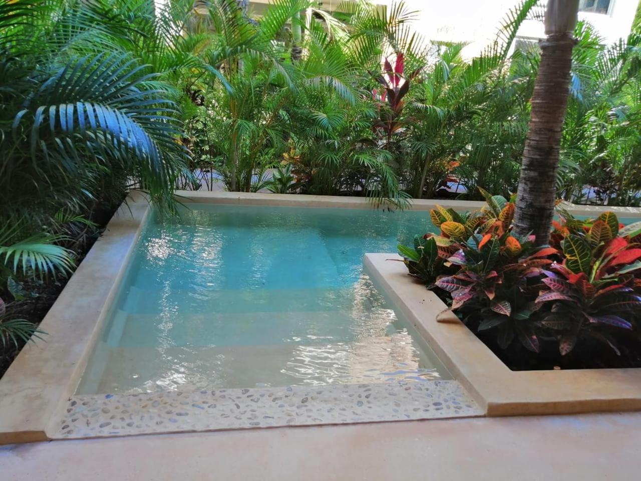 Alma De Flores Private Pools Suites Τουλούμ Εξωτερικό φωτογραφία
