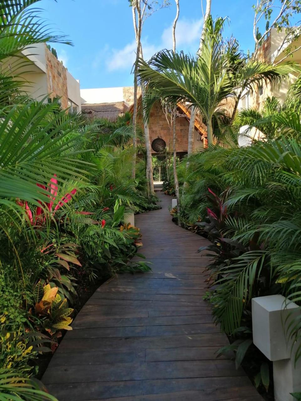 Alma De Flores Private Pools Suites Τουλούμ Εξωτερικό φωτογραφία
